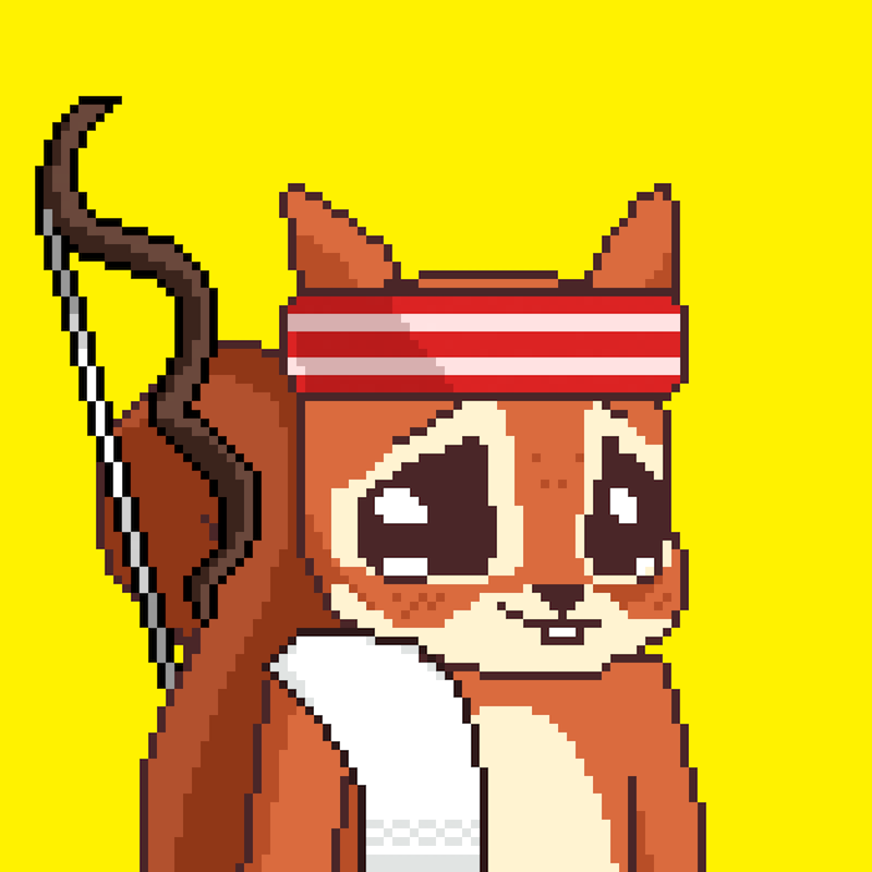 Pixel Squirrels #8642